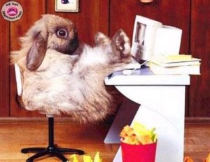 Terjebak di dunia maya