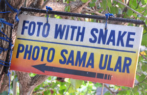 Tanah Lot, 6 Desember 2009