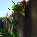 10464257_10153965116879274_8188614003230359520_n