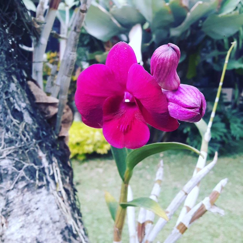 IMG_20170913_060639_293