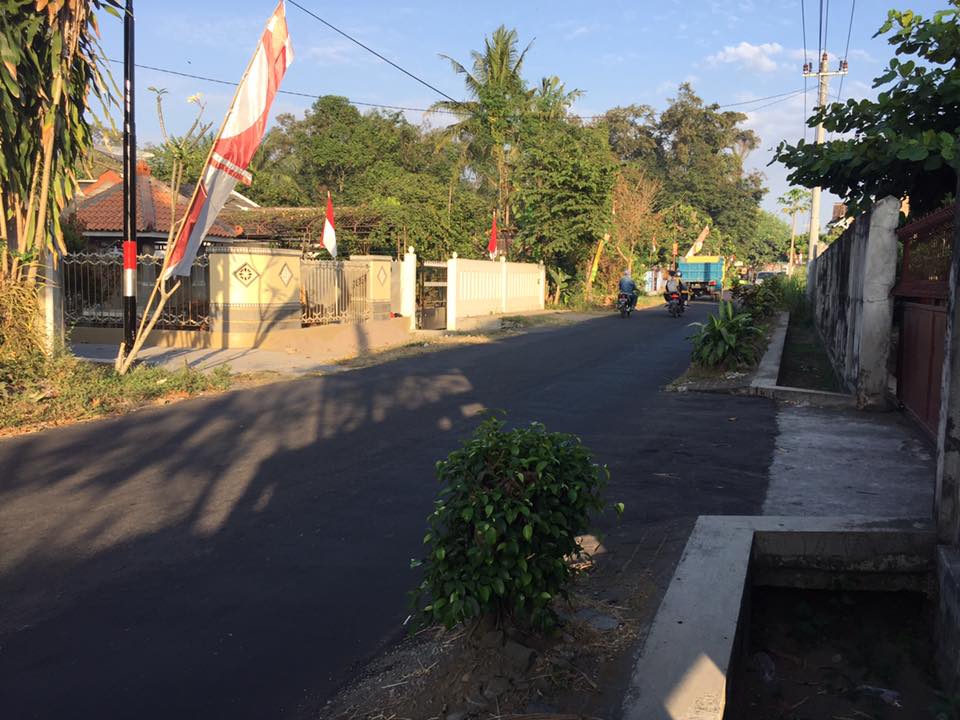 Pohon Beringin yang Menghalangi&nbsp;Pandangan