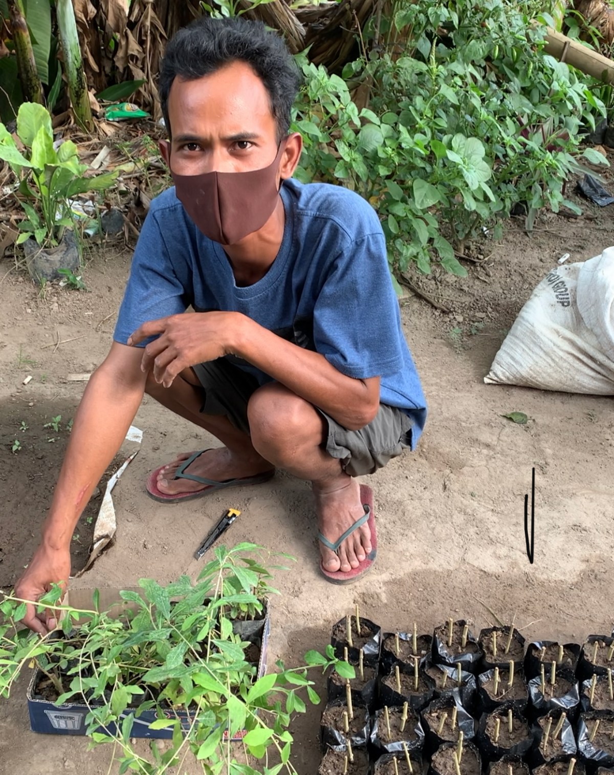 Penjual Lew Kwan&nbsp;Yew